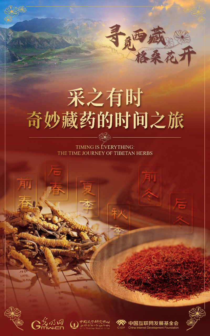 【尋覓西藏·格?；ㄩ_】采之有時(shí)：奇妙藏藥的時(shí)間之旅