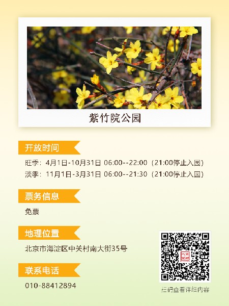 追花指南第二期！京城三月里最撩人的玉蘭觀賞地