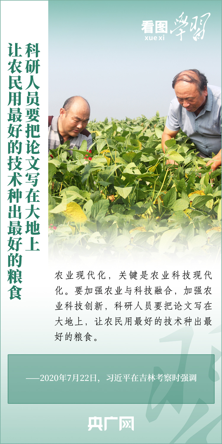 看圖學習丨推廣良田、良種、良法、良機 給農(nóng)業(yè)現(xiàn)代化插上科技的翅膀