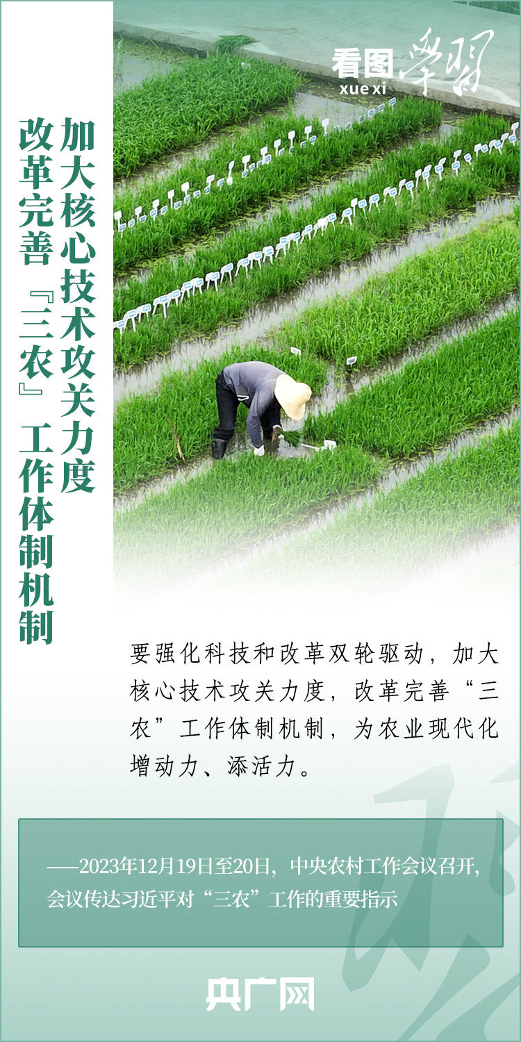 看圖學習丨推廣良田、良種、良法、良機 給農(nóng)業(yè)現(xiàn)代化插上科技的翅膀