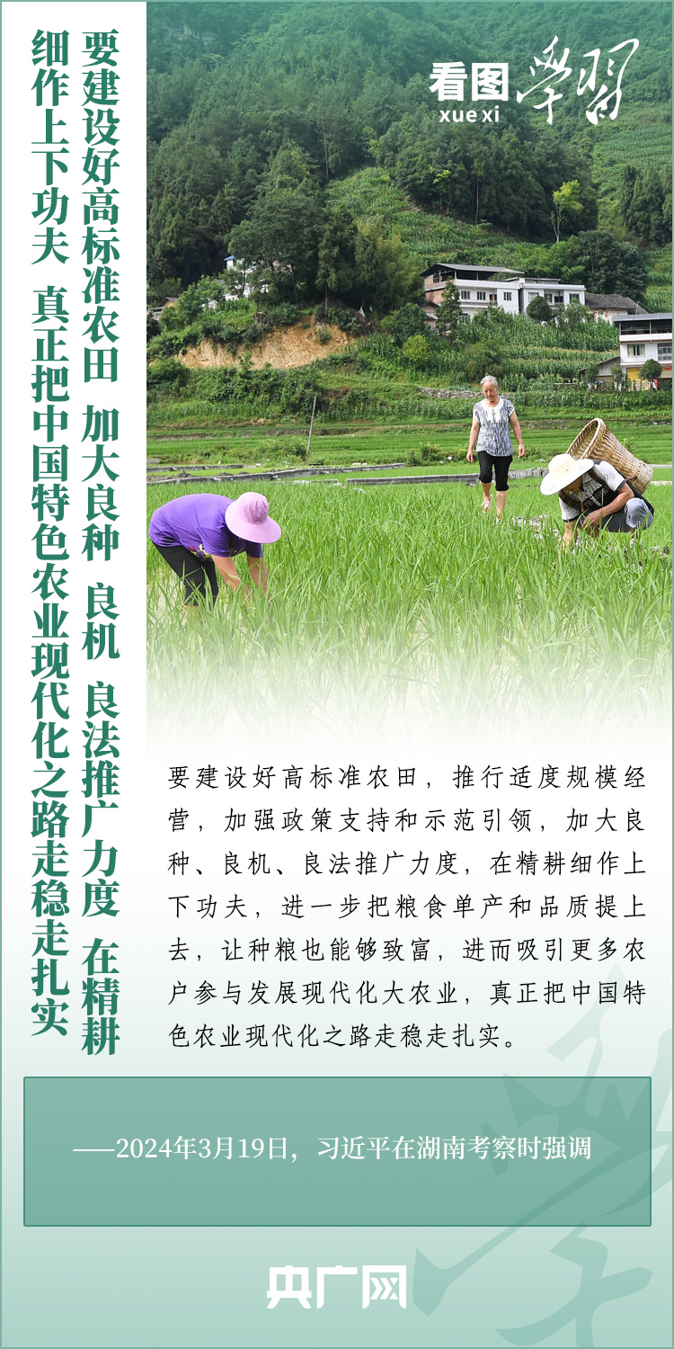 看圖學習丨推廣良田、良種、良法、良機 給農(nóng)業(yè)現(xiàn)代化插上科技的翅膀