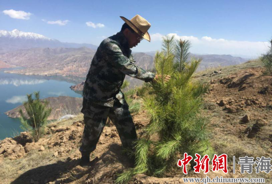 圖為尖扎干部職工生態(tài)建設(shè)和環(huán)境保護(hù)現(xiàn)場(chǎng)。尖宣 供圖