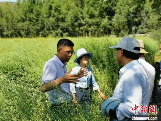 圖為九三學(xué)社青海省委主委杜德志(左一)在基層調(diào)研。受訪者供圖