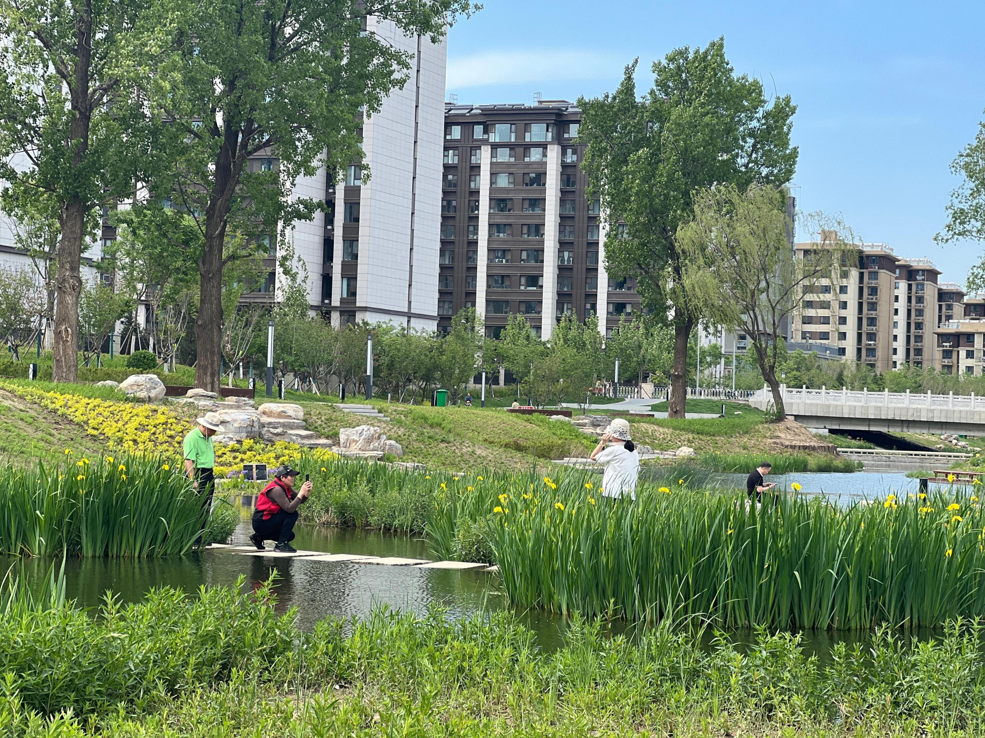 五一渠生態(tài)濱河公園內(nèi)，市民正在拍照留念。人民網(wǎng) 歐陽易佳攝