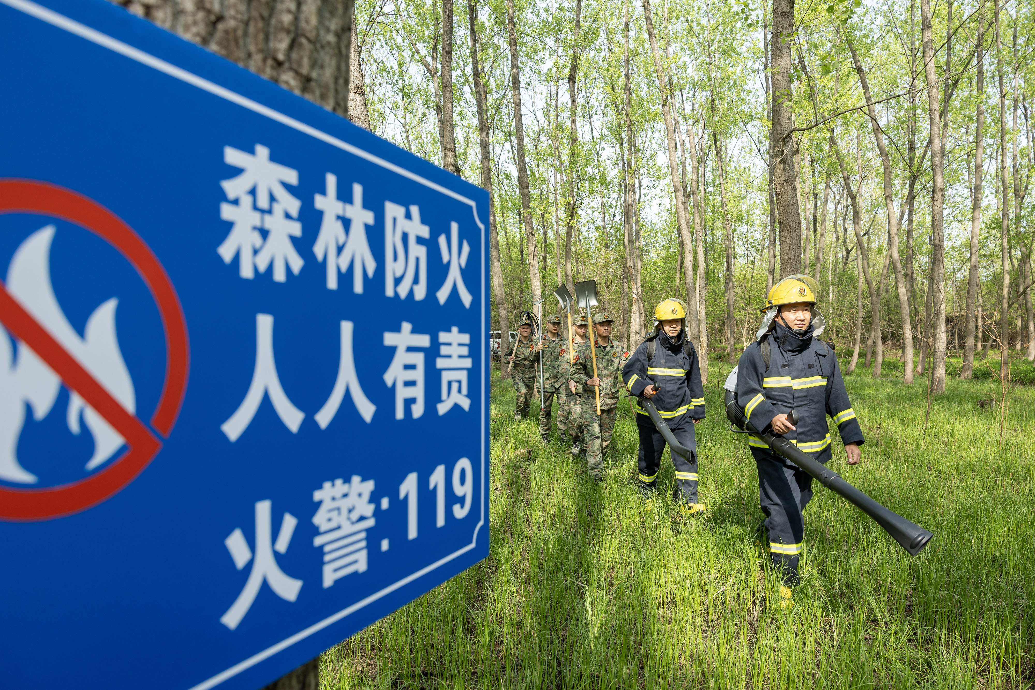 2024年4月9日，合肥市大房郢水庫水源保護地廬陽經(jīng)濟開發(fā)區(qū)段，基干民兵正在林間巡查火災(zāi)隱患。