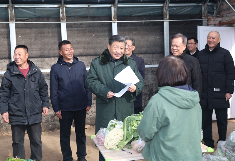 2024年2月1日，習(xí)近平總書記在天津市西青區(qū)辛口鎮(zhèn)第六埠村，走進(jìn)大棚同菜農(nóng)親切交流。