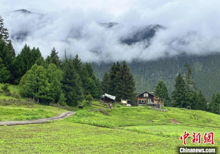 6月10日，魯朗小鎮(zhèn)高山牧場景區(qū)風(fēng)光。　冉文娟 攝