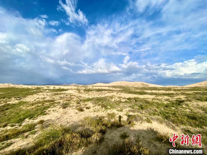 圖為關停四年后的沙島景區(qū)現狀?！±罱瓕?攝