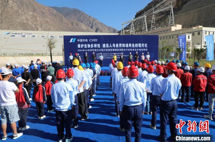 圖為蘇洼龍水電站魚類放流現(xiàn)場(chǎng)。　蘇洼龍水電站供圖