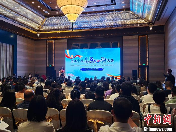 圖為首屆中國高原心胸大會現(xiàn)場?！☆D旦旺姆 攝