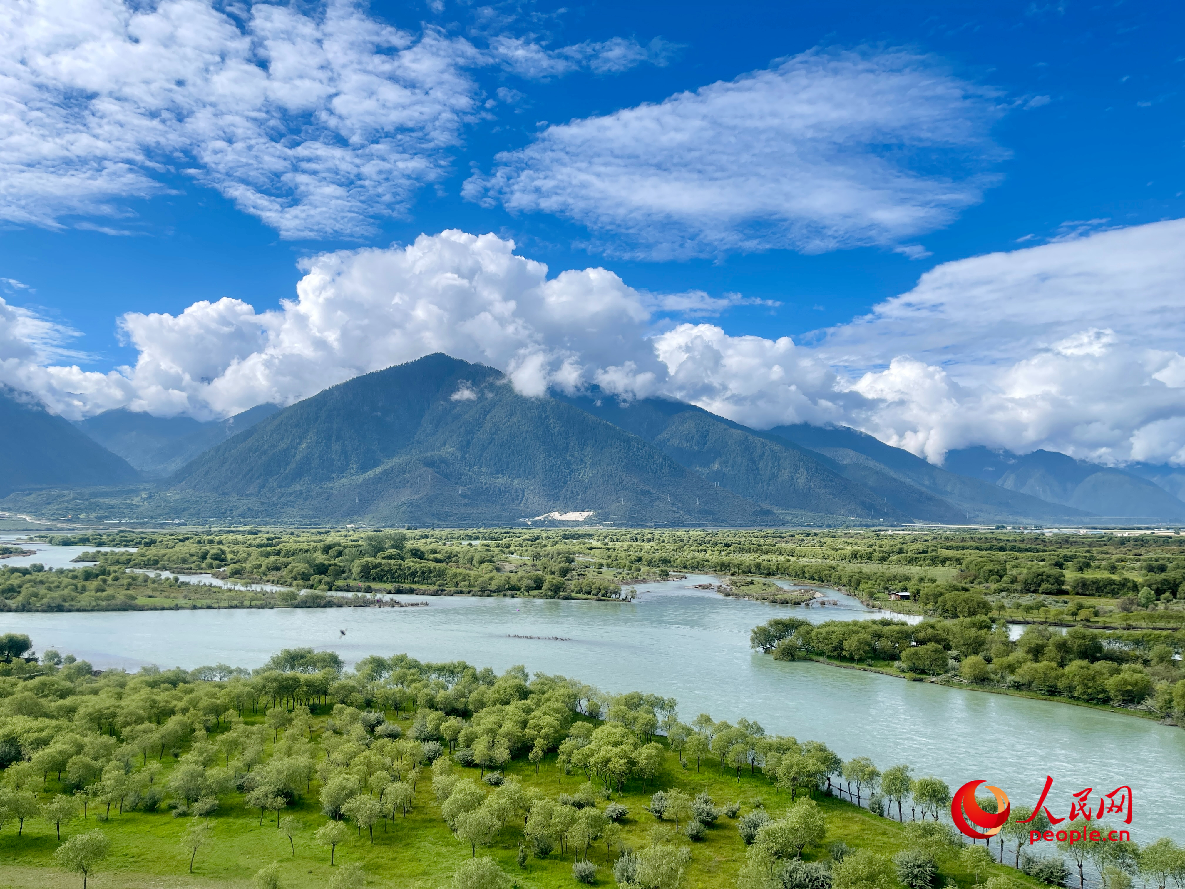 夏日的雅尼國(guó)家濕地公園生機(jī)盎然，如詩(shī)如畫。人民網(wǎng) 周靜圓攝