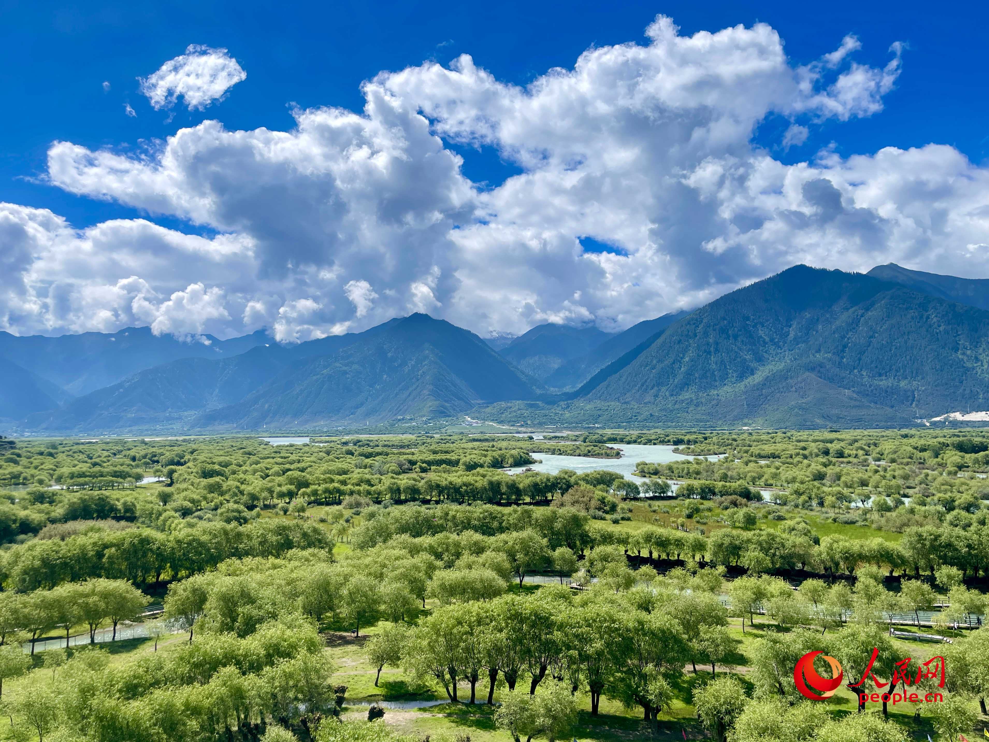 夏日的雅尼國(guó)家濕地公園生機(jī)盎然，如詩(shī)如畫。人民網(wǎng) 周靜圓攝